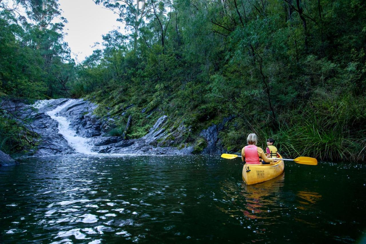 Rac Karri Valley Resort Пембертон Экстерьер фото
