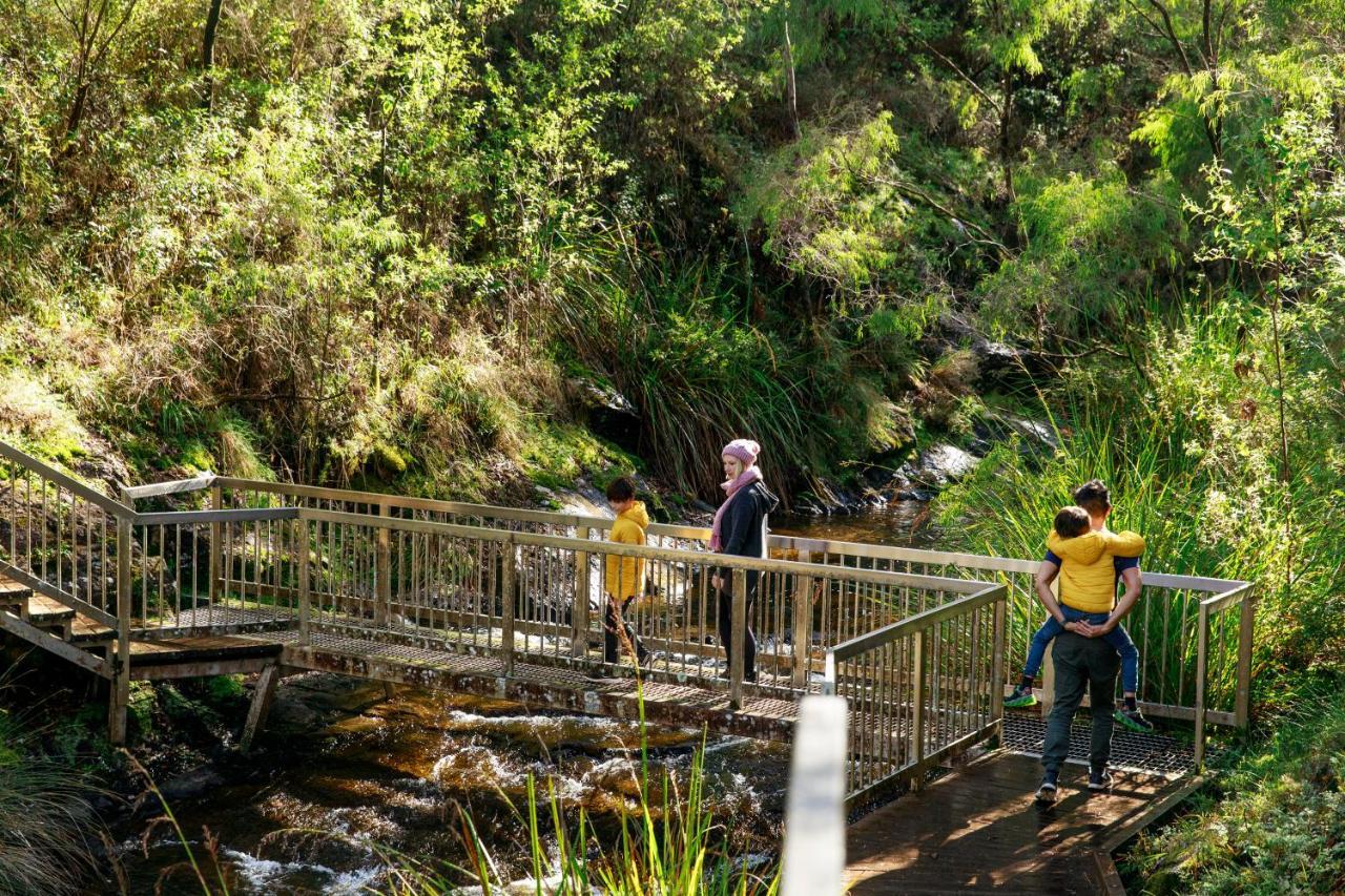 Rac Karri Valley Resort Пембертон Экстерьер фото